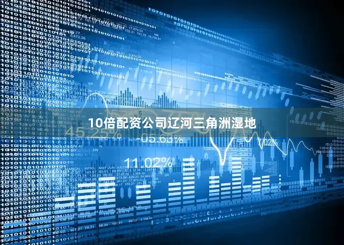 10倍配资公司辽河三角洲湿地