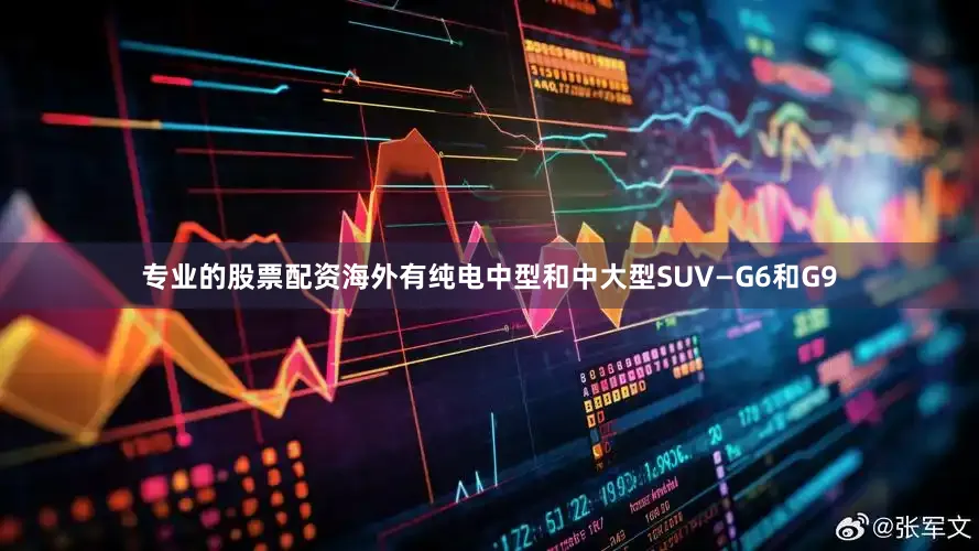 专业的股票配资海外有纯电中型和中大型SUV—G6和G9