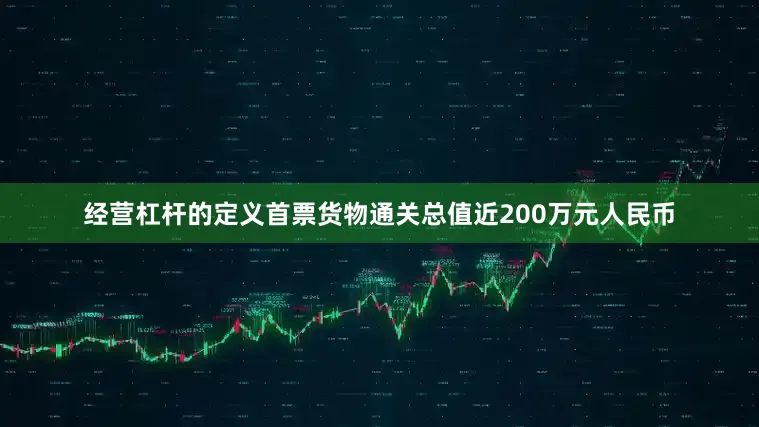 经营杠杆的定义首票货物通关总值近200万元人民币